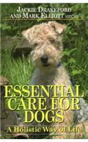 Essential Care for Dogs