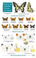 Guide to the butterflies of Britain and Ireland