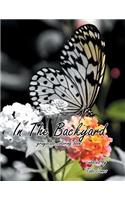 In The Backyard Grayscale Coloring Book