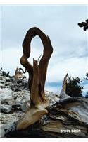 Great Basin
