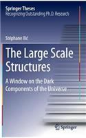 The Large Scale Structures: A Window on the Dark Components of the Universe