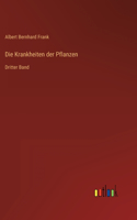 Krankheiten der Pflanzen