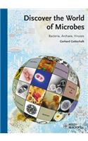 Discover the World of Microbes