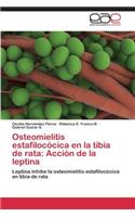 Osteomielitis estafilocócica en la tibia de rata