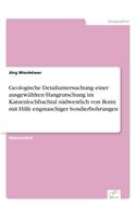 Geologische Detailuntersuchung einer ausgewählten Hangrutschung im Katzenlochbachtal südwestlich von Bonn mit Hilfe engmaschiger Sondierbohrungen