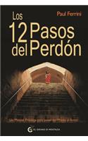 Los 12 Pasos del Perdon
