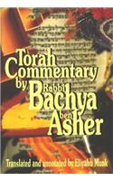 Torah Commentary