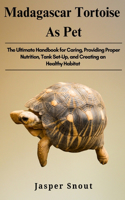 Madagascar Tortoise as Pets