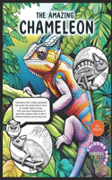 Amazing Chameleon, Kids K-12 Wildlife Chameleon Coloring Book