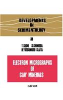 Electron Micrographs of Clay Minerals: (31 Developments in Sedimentology)