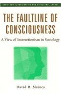 The Faultline of Consciousness