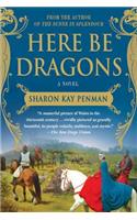 Here Be Dragons