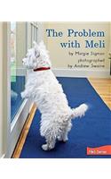 The Problem with Meli