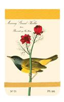 Audubon Warblers Mini Journal