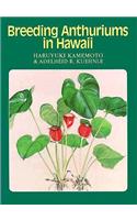 Breeding Anthuriums in Hawaii