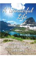 Wonderful Life