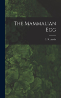 Mammalian Egg