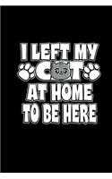 I Left My Cat At Home To Be Here