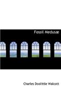 Fossil Medus