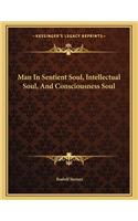 Man in Sentient Soul, Intellectual Soul, and Consciousness Soul
