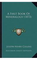 A First Book of Mineralogy (1873)