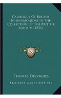 Catalogue of British Ichneumonidae in the Collection of the British Museum (1856)