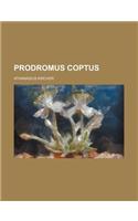 Prodromus Coptus: (English)