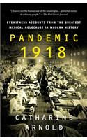 Pandemic 1918: Eyewitness Accounts from the Greatest Medical Holocaust in Modern History