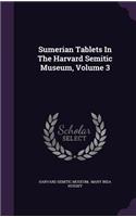 Sumerian Tablets In The Harvard Semitic Museum, Volume 3