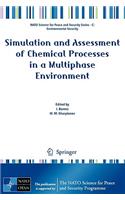 Simulation and Assessment of Chemical Processes in a Multiphase Environment