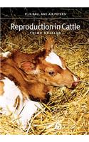 Reproduction in Cattle