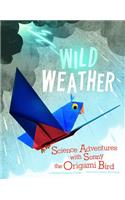 Origami Science Adventures Wild Weather Science Adventures with Sonny the Origami Bird