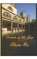 Secrets of the Gap: Large Print