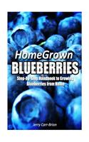 Home Grown Blueberries