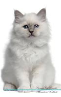 Birman Cat Affirmations Workbook Birman Cat Presents: Positive and Loving Affirmations Workbook. Includes: Mentoring Questions, Guidance, Supporting You.