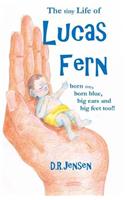 The Tiny Life of Lucas Fern