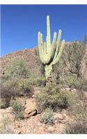 Saguaro Cactus in the Desert Journal