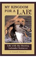 My Kingdom for a Lab!