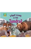 What Lives in the Tundra?