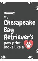 Damn!! my Chesapeake Bay Retriever's paw print looks like a