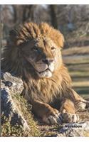 Lion Notebook