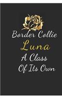Border Collie Luna
