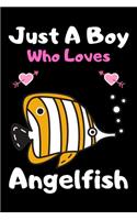Just a boy who loves angelfish