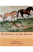 Evolution of the Horse