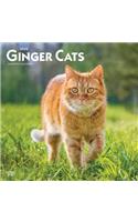 Ginger Cats 2020 Square Wall Calendar