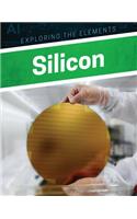 Silicon