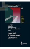 Large-Scale Pde-Constrained Optimization