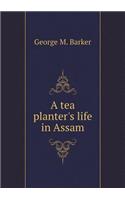 A Tea Planter's Life in Assam