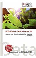 Eucalyptus Drummondii