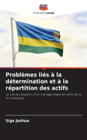 Problèmes liés à la détermination et à la répartition des actifs
